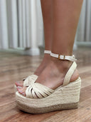 PLATAFORMAS  ARIADNA